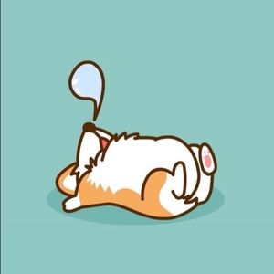 Meet your Posher, Ami